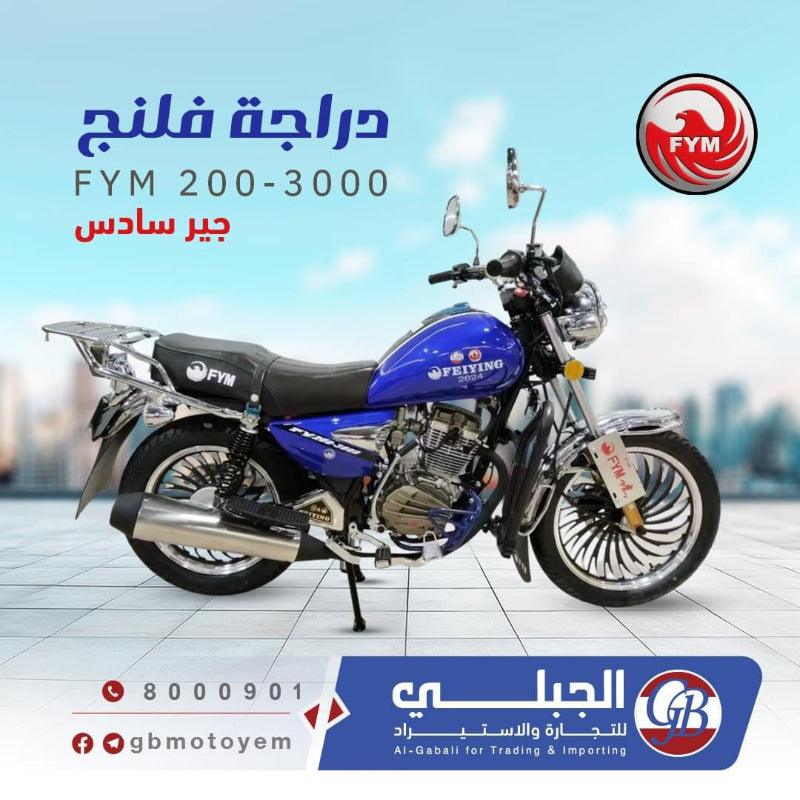 السنة المالية 200-3000